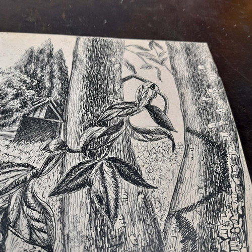 Imagem 5 de 8 de Pintura Desenho Bico De Pena Nanquim Antigo Sem Moldura