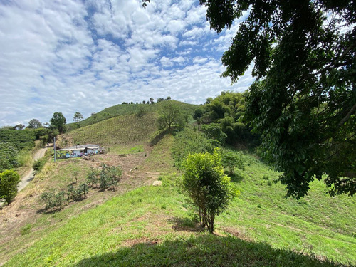 Venta Lote Palestina, Manizales