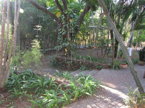 Chácara À Venda, 6600 M² Por R$ 1.800.000,00 - Glebas Natalinas - Piracicaba/sp - Ch0078