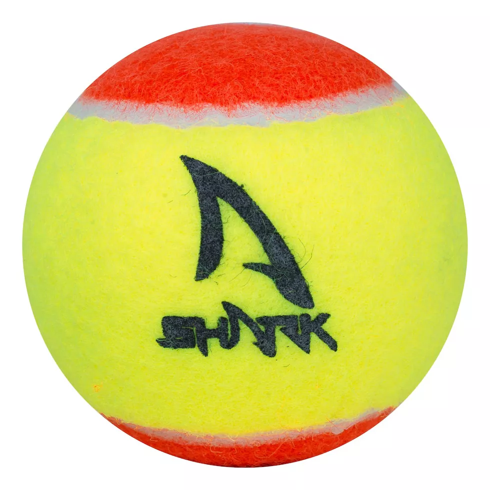 Primeira imagem para pesquisa de bolinha beach tennis