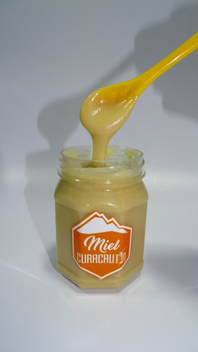 Pack 4 Unidades Miel Batida 500g 100% Natural Envase Pet