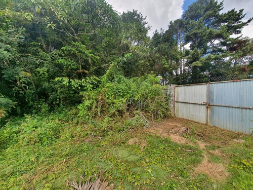 Imagem 16 de 19 de Área À Venda, 5053 M² Por R$ 1.350.000,00 - Tingui - Curitiba/pr - Ar0001