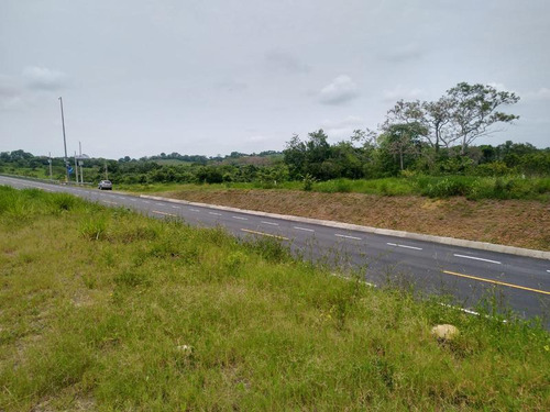 Venta Rancho 109 Has Autopista A Tampico En Tamiahua Veracruz