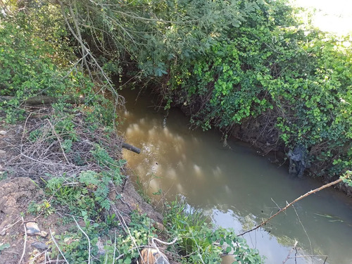 Terreno Agrícola De 6,8 Ha En Venta En San Clemente