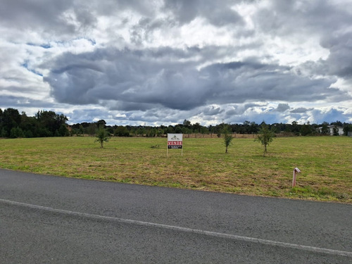 Parcela  Plana 5.000 M2. Puerto Varas. Exclusivo Condominio.