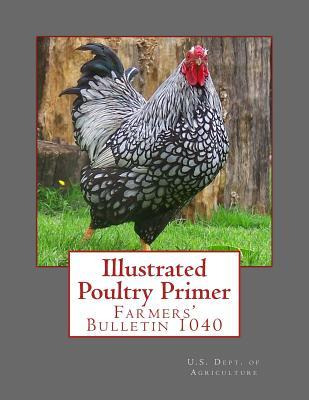 Libro Illustrated Poultry Primer : Farmers' Bulletin 1040...