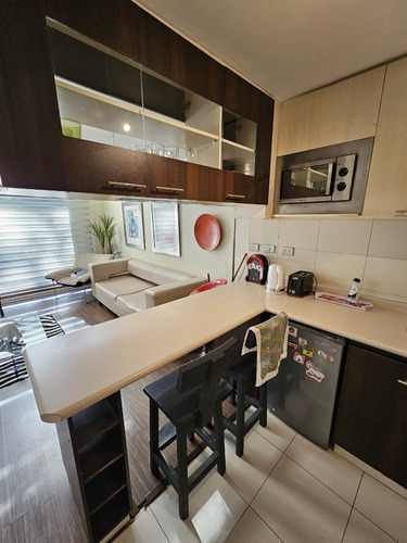 Se Arrienda Departamento Duplex Amoblado Concepción