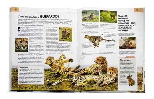 Libro Comportamiento Del Reino Animal - Lexus