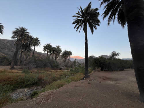 Se Vende Predio Palmas De Ocoa. Quillota (73447)