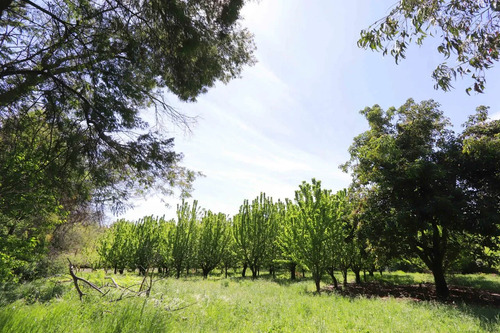 Venta Parcelas En El Tijeral, Angol Imperdible