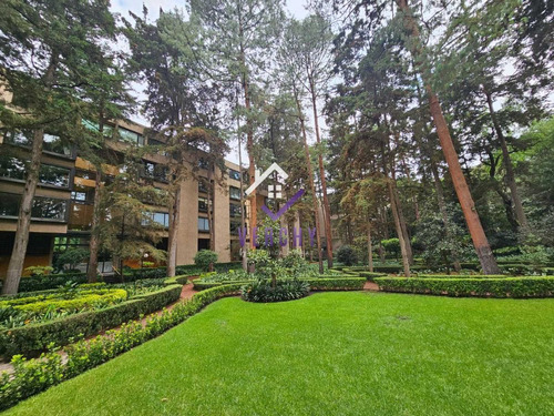 Bosque De Tlalpan, Divino Departamento En Renta