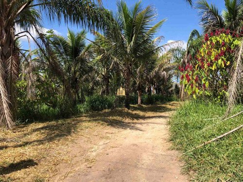 Imagem 5 de 30 de Sitio Em Esmeraldas - St00221 - 70785384