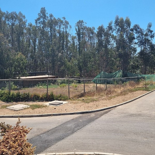 Bosques De Quilen, Costa Quilen, Puchuncaví