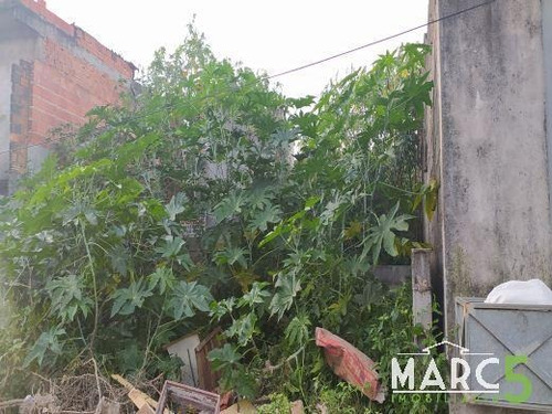 Imagem 7 de 9 de Terreno - Jardim Do Vale - 1854