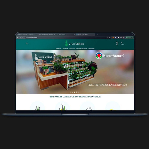 Imagen 4 de 10 de Página Web - Carrito Con Webpay Pago Online Todo Incluido