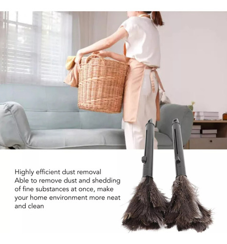 Plumero, Pluma De Avestruz Natural C
