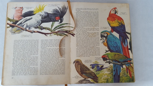 Libro Aves Del Mundo. Birds Of The World 1961 1°edición(35) (Usado)