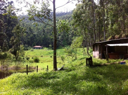 Imagem 5 de 8 de Belissíma Fazenda A Venda Em Piracaia 48 Alqueires - 1027