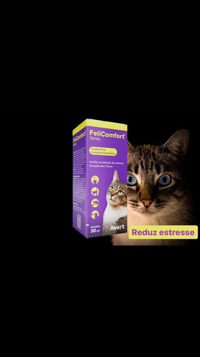 Felicomfort Spray 30ml Avert -adaptação-reduz Estresse Gatos