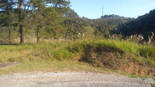 Imagem 14 de 15 de Chácara Para Venda, Paiol De Baixo - 00302_2-1186466