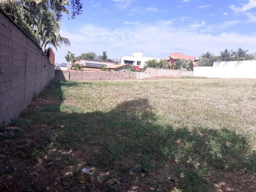 Imagem 7 de 7 de Terrenos - Ref: V6235