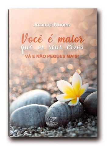 Livro Você É Maior Que Os Seus Erros: Vá E Não Peques Mais!