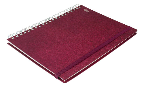 Cuaderno Printaform Profesional Ejecutiva 1pz Pd 100h Color Vino - Bullet
