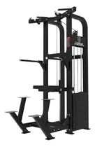 Comprar Maquina De Dominadas Y Fondos Asistidos. Dorsalera. Triceps.
