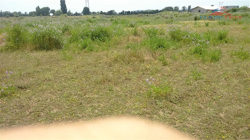 Imagen 29 de 30 de Agrícola En Venta En Linares