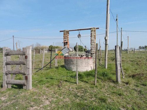 Chacra En Venta Los Cerrillos, 1 Has Con Casa De Dos Dormitorios