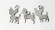 Comprar Chapa Medalla Perro Mascota Chapita Chihuahua Todas Las Raza