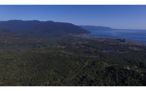 Imagen 10 de 15 de Venta Sitios/ Carretera Austral Km 30/patagonia Chilena