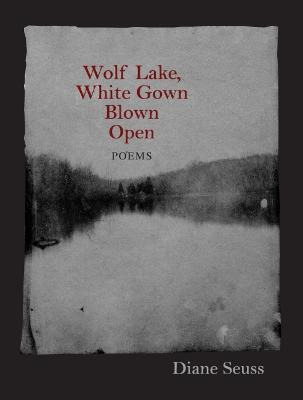 Libro Wolf Lake, White Gown Blown Open - Diane Seuss