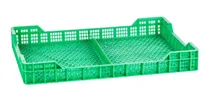 Comprar Bandeja Para Cosecha De Arándanos Y Otros Frutos Rojos X 10u