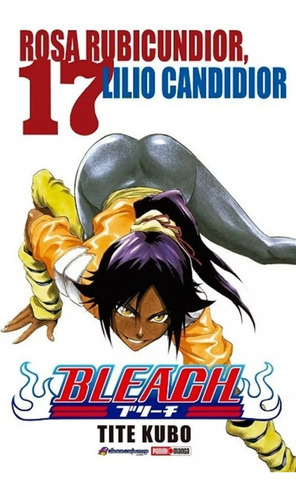 Manga Bleach Tomo 17 Panini