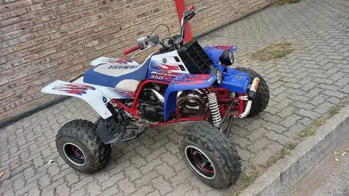 Banshee 2011 | MercadoLibre 📦