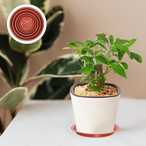 Plato Para Maceta Con Base De Encaje, 15 Unidades