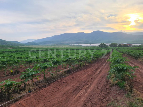 Venta Rancho Los Asmoles Colima