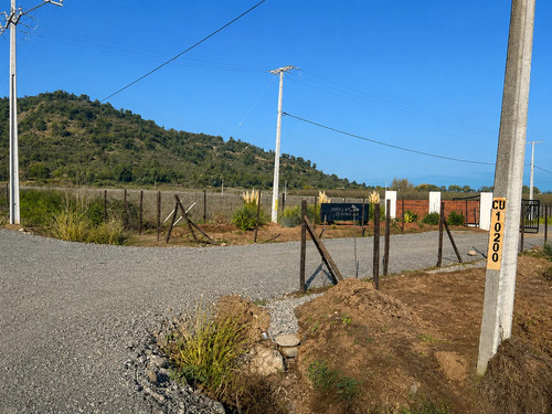 Parcela 5000m2 En Proyecto Los Avellanos, Zapallar, Curicó