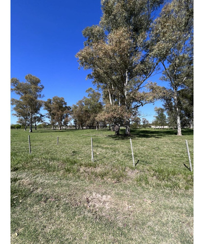 Lote Ubicado A 700 Metros Ruta 41 - San Miguel Del Monte