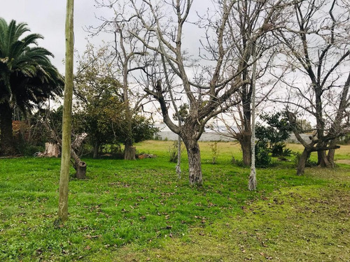 Casa Venta A Refaccionar 4 Dormitorios 3 Baños Y Terreno De 4,922 Mts 2-262 Mts 2 Cubiertos - Villa Elvira