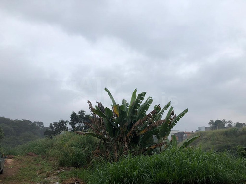 Imagem 4 de 6 de Terreno Para Venda Em Cajamar, Panorama (polvilho) - 22065_1-2161398