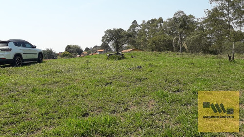 Imagem 6 de 13 de Terreno Em Monte Negro - Santa Isabel - 4041