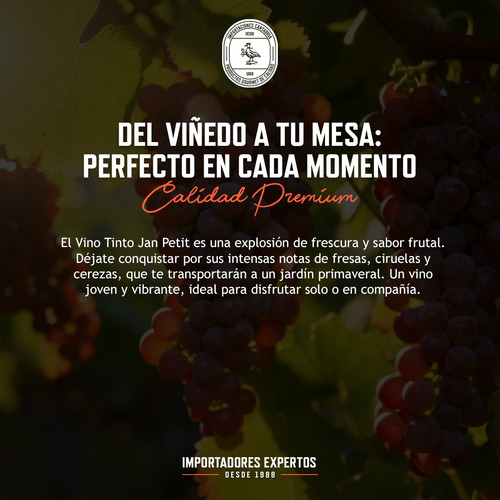 Vino Tinto Español Jan Petit 750ml Clos Pons Pack X6