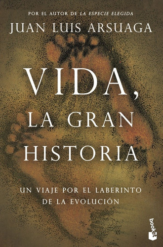 Libro Vida, La Gran Historia