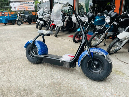 Imagen 4 de 15 de Moto Electricas E- Bicis City Coco Ofertas