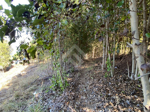 Sitio Venta En Lago Calafquén Vistas Lago Y Volcán