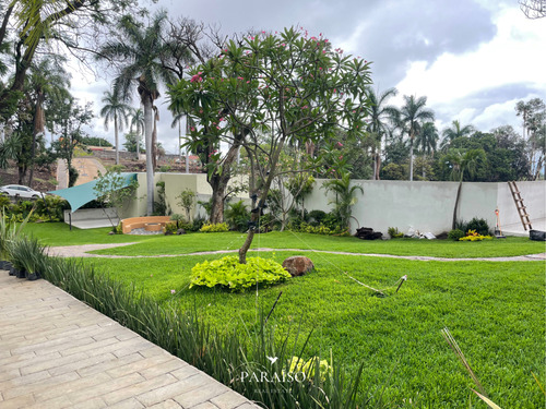 Lotes Premium | Jacarandas