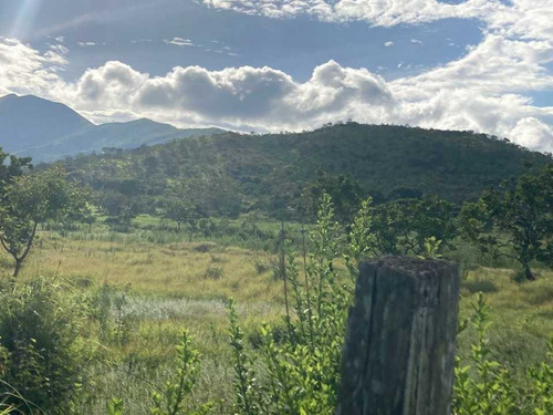 Imagen 5 de 22 de Finca En Tinaquillo Con 132 Hectáreas, Excelente Oportunidad