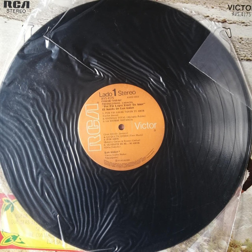 Vinilo Los Galos Por Fin Logre Tener Tu Amor Che Discos (Usado)